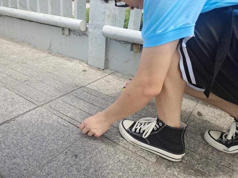 1657433325007035083.jpg 1.jpg