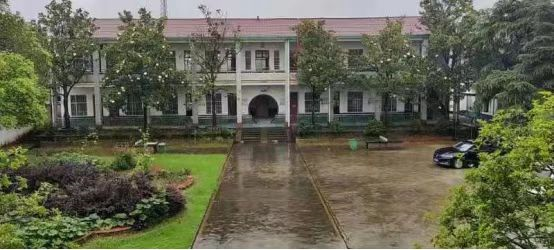 1657438079558004009.png image.png