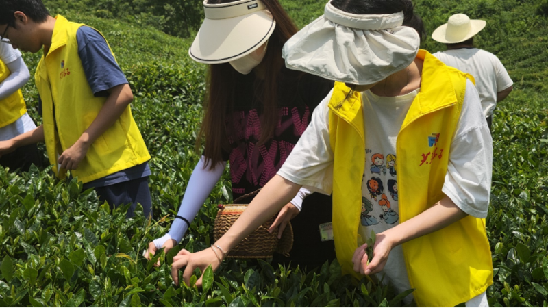 1657536767511012945.png image.png