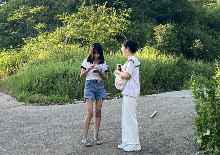 1658551202440007105.png image.png