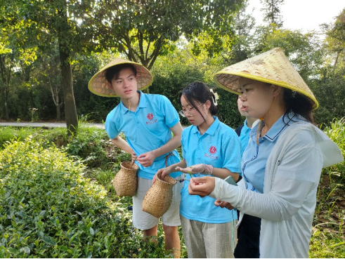 1659148097166037152.png image.png