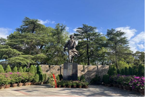 1659576645760074916.png image.png