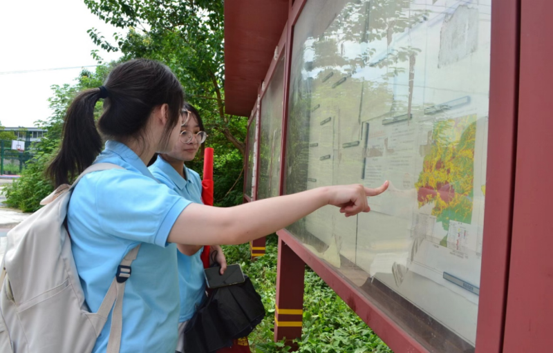 1660126382513034694.png image.png