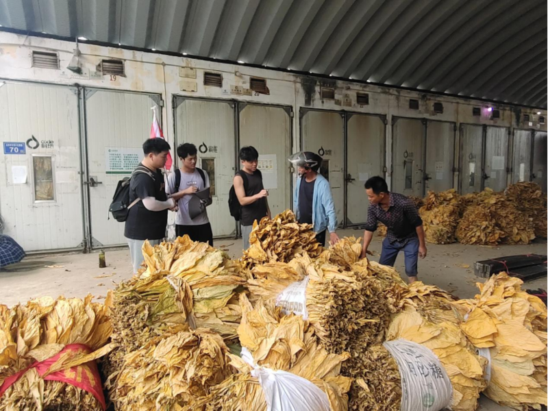 1661940363104071923.png image.png