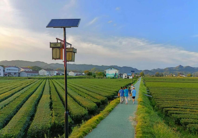 1662195467417083514.png image.png