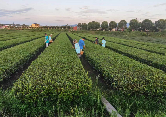 1662195485417015671.png image.png