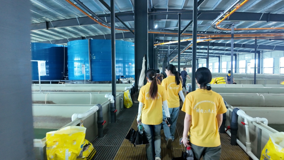 图1：图为实践团参观水产养殖基地
