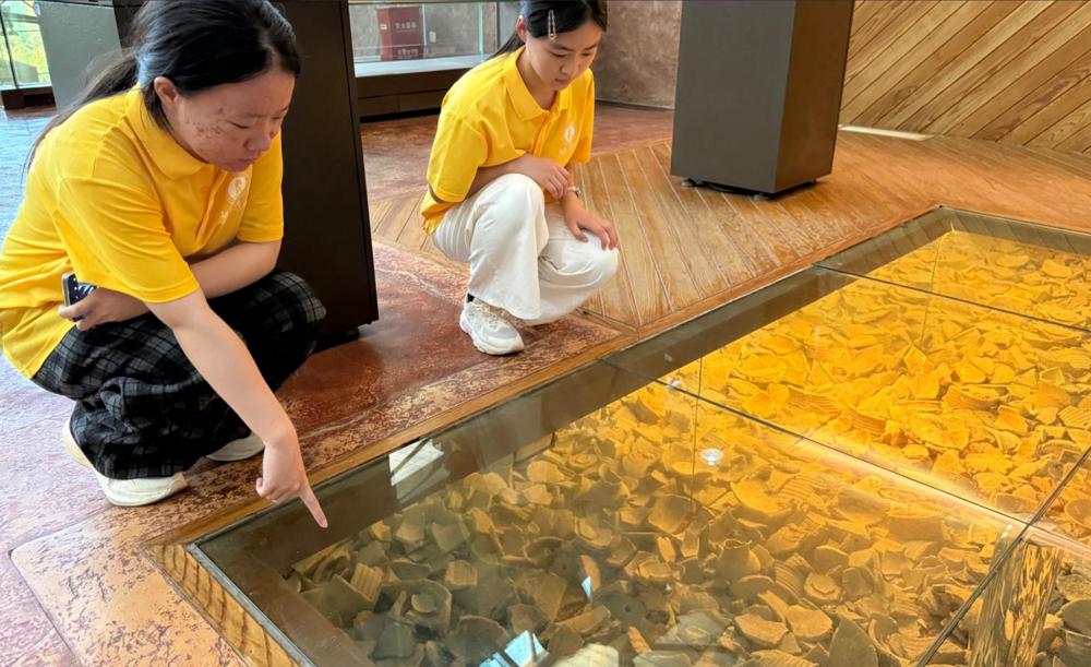 屏幕截图 2026-07-24 103145