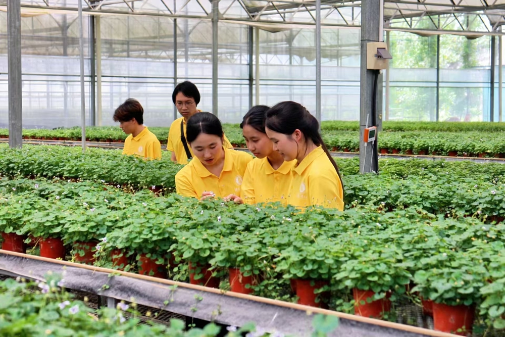 图 3图为队员观察盆栽种植技术